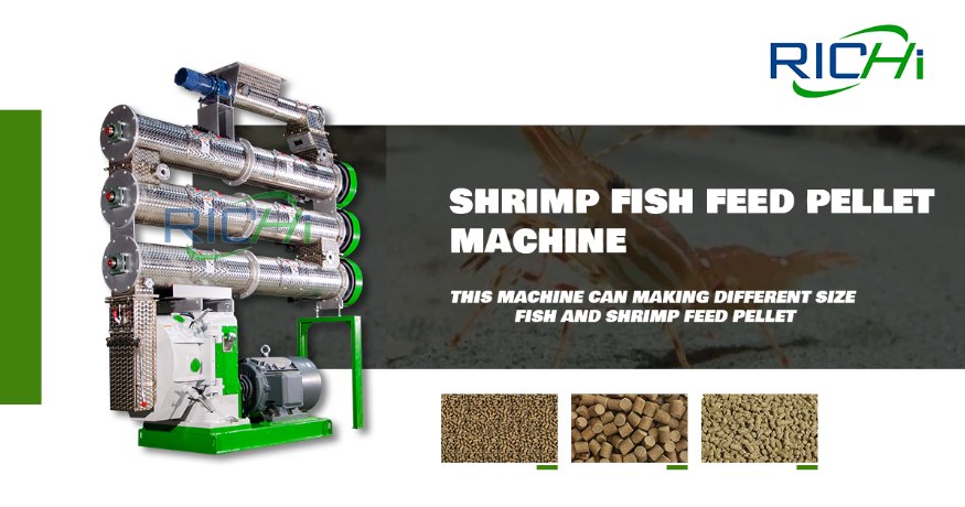 Advantages of Prawn Feed Pellets