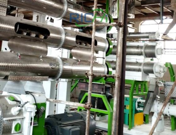 Andhra Pradesh, India 3 tons/hour prawn feed machine