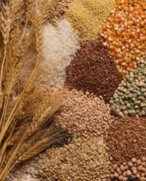 Animal feed production line raw materials