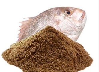 Fish Meal