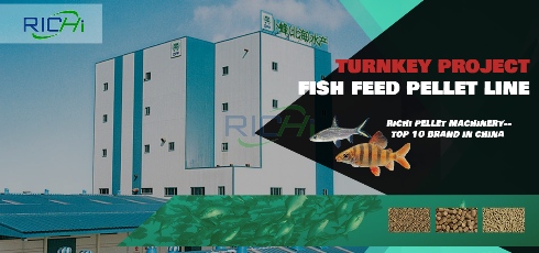 Many benefits of fish feed pellets