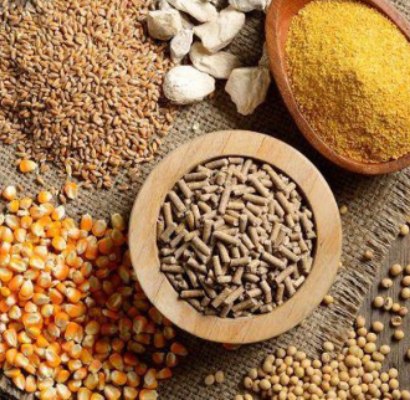 Raw Material Treatment