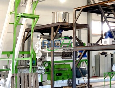 1T/H Small Fish Feed Production Line in Indonesia