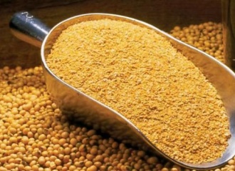 Soybean Meal