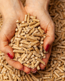 Wood pellet line pellets