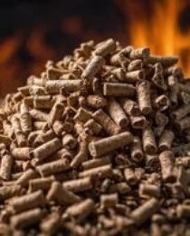 Biomass pellet production line pellets