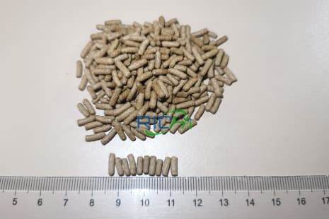 2mm fish feed