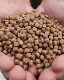 Fish feed manufacturing plant pellets