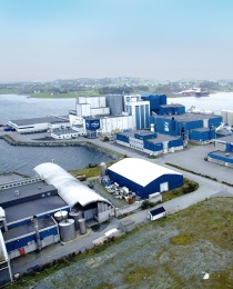 Fish feed manufacturing plant project