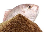 fish meal
