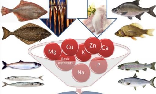 Minerals