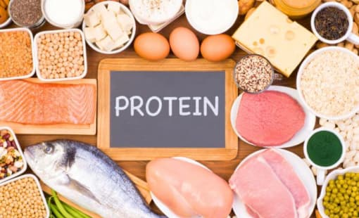 Protein