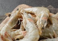 shrimp