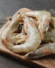 Shrimp
