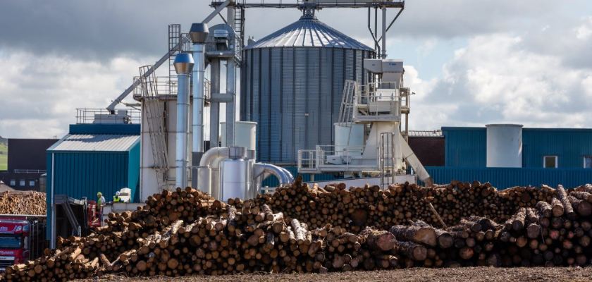 Austria 10 tons/hour wood dryer project