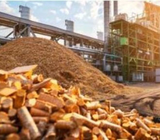 Biomass energy production (pellet fuel plants, briquette production)