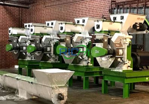 Canadian ring die wood chip pellet export project