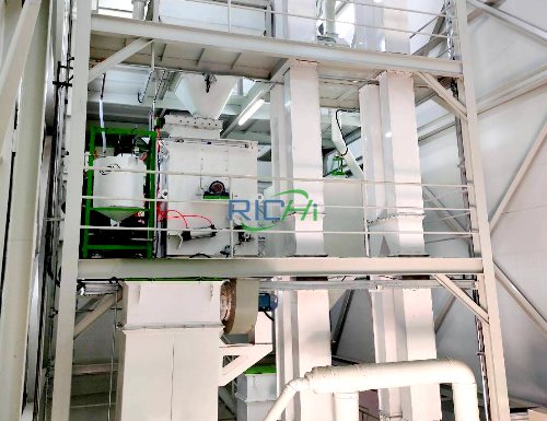8-10 tons/hour Cattle feed pellet mill for sale Germany