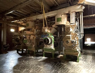 13T/H High-Capacity Wood Pellet Extruder Machine for sale South Korea