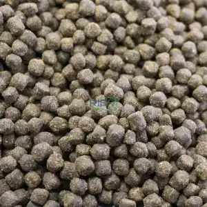 Special feed processing
