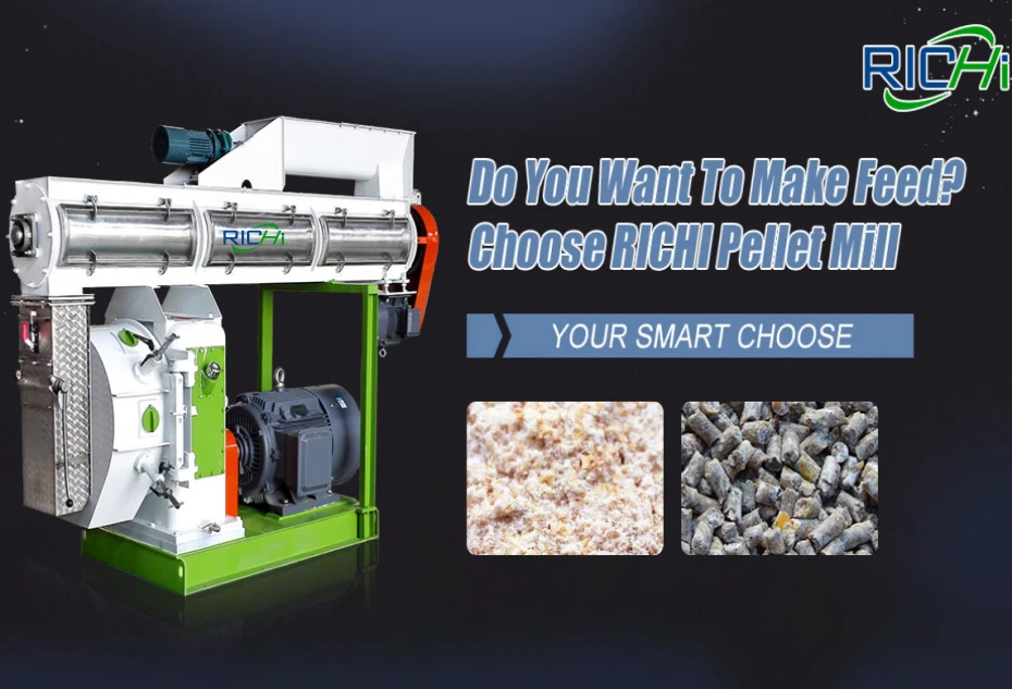 Pelletizing Machine Price Philippines: Economic Value
