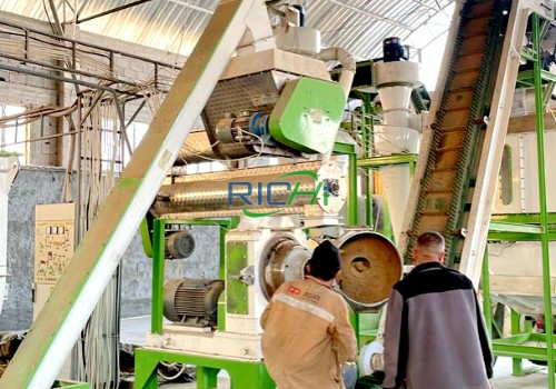 Goat Feed Pellet Making Machine for sale Netherlands