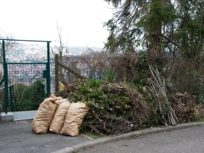 Pallet Chipper For Sale South Africa