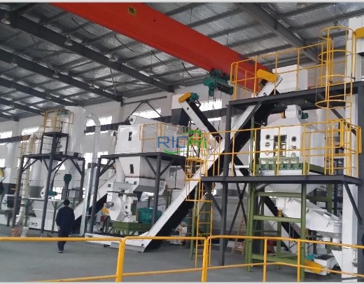 5 T/H Sawdust Pellet Machine Price for Malaysia Project