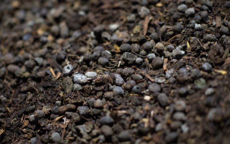 Sheep manure wool pellet making machine