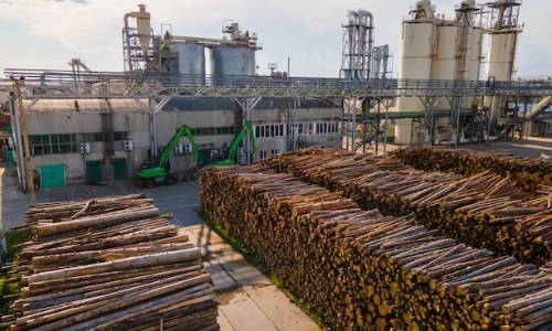 Wood chip processing plant