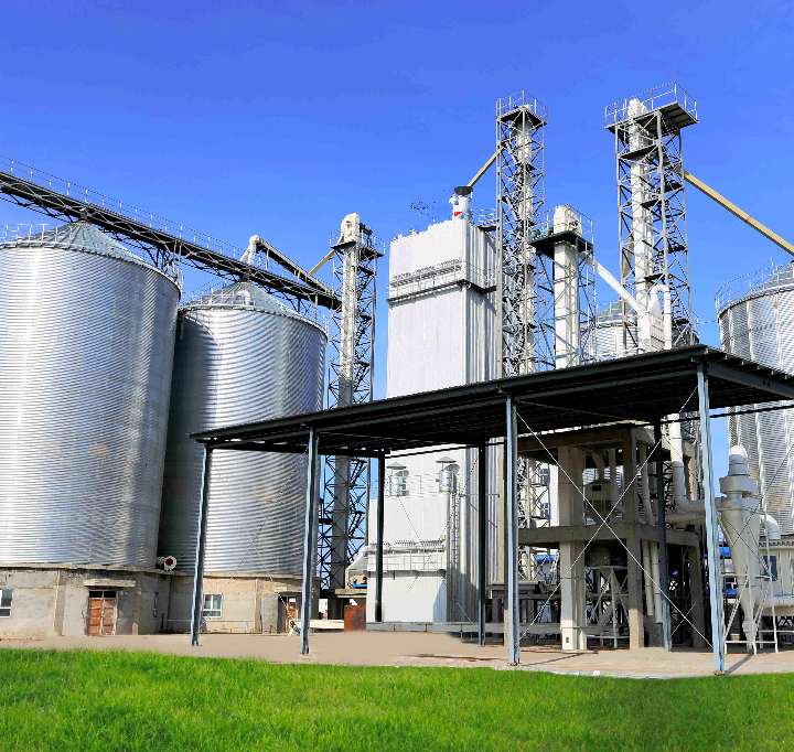Cattle Feed Manufacturing Plant