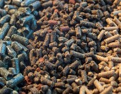 feed pellet