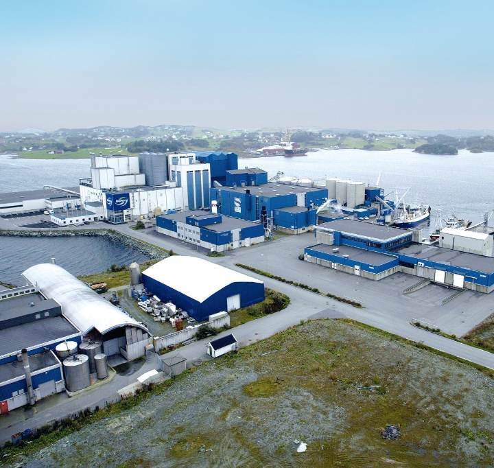 Fish Feed Manufacturing Plant