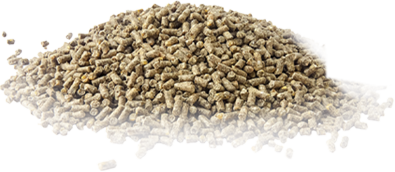 Animal Feed Pellet