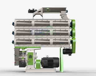 Shrimp feed pellet machine