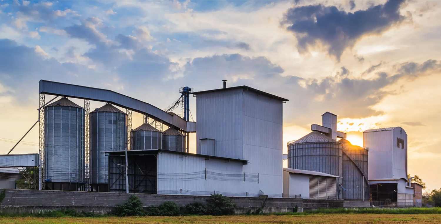 RICHI Feed Pellet Line | Efficient Feed Processing Solution for Poultry, Livestock & Aquaculture