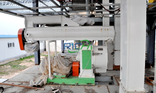6 T/h Animal Feed Pellet Machine for Sale USA