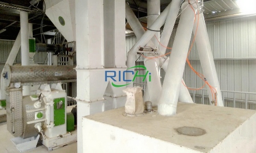 4 T/h Cattle Animal Feed Pellet Machine for Sale Argentina