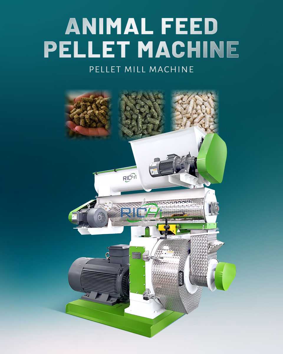 How To Choose A Right animal feed pellet making machine?