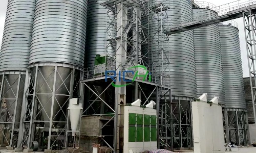 20 t/h Poultry Animal Feed Pellet Machine for Sale Netherlands