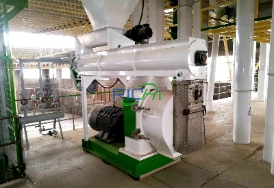 10T/H Poultry Feed Pellet Machine for sale Brazil