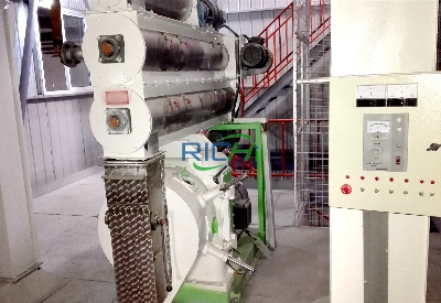 7T/H poultry feed pellet mill for sale India