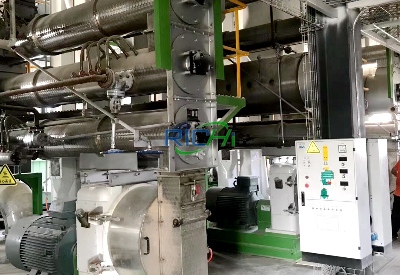 12T/H Poultry Feed Pellet Machine for sale South Africa