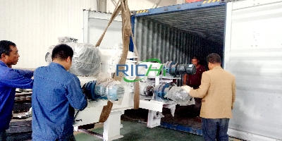 Pre-shipment Inspection and Packaging