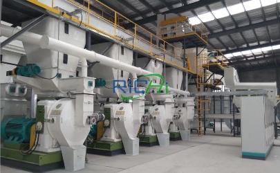 12-15 T/H wood pellet production line for sale Germany