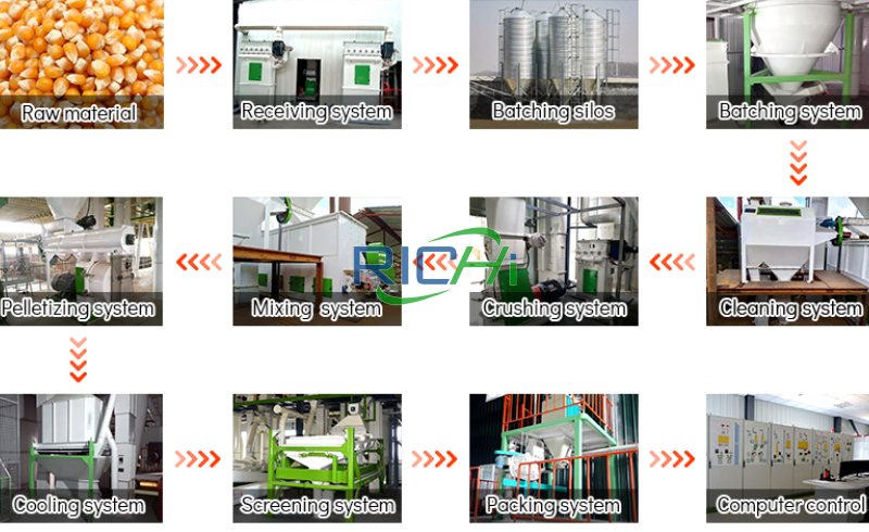 process of the chicken feed production line
