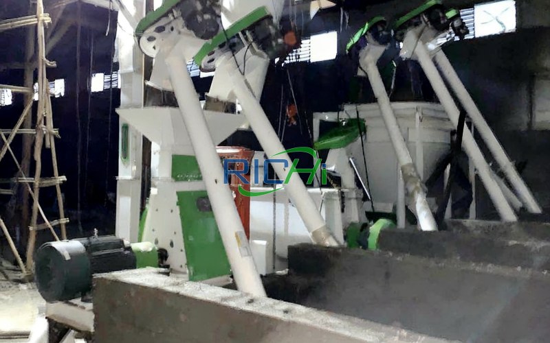 SFSP56*40 Egg chicken feed grinder for sale Nigeria