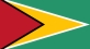 Flag of Guyana