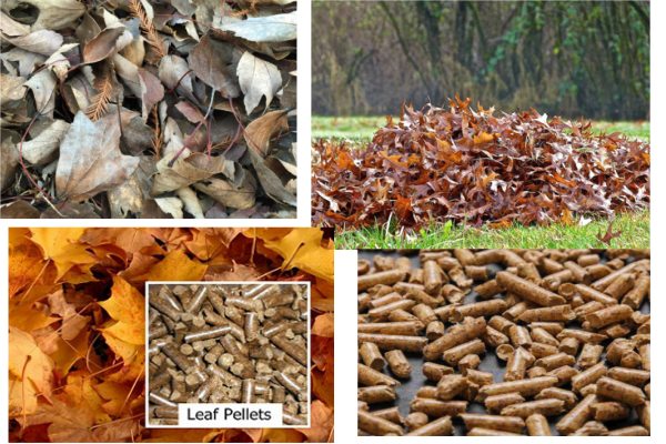 Why Make leaf pellets