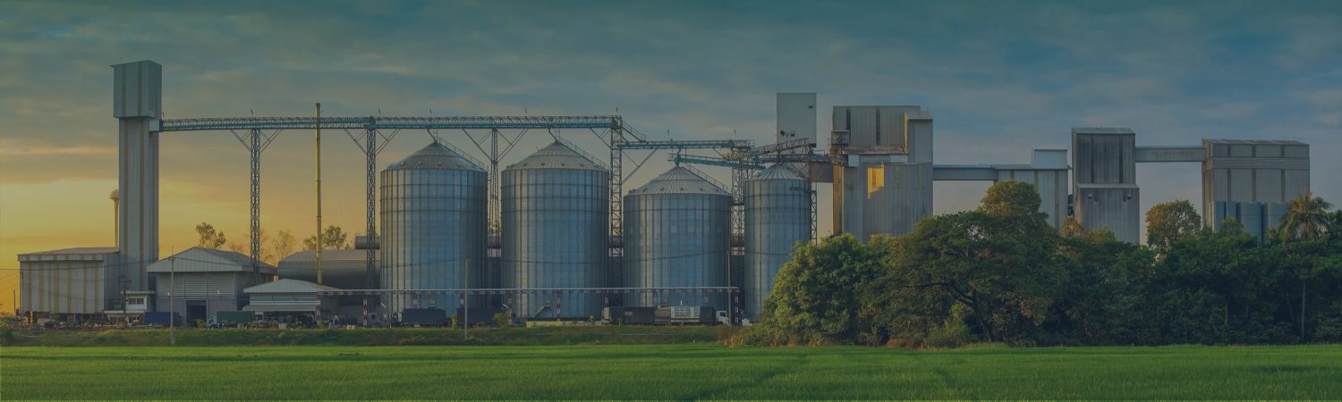 Feed pellet production line